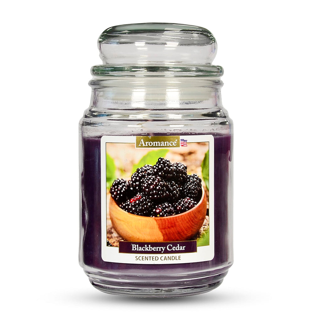One Time Deal -Aromance Blackberry Cedar Scented Candle 18oz - Dark purple