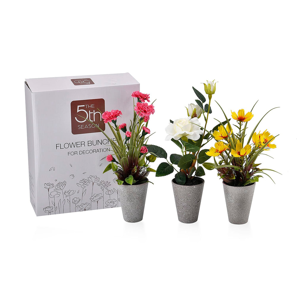 Set of 3 Potted Flower Plants - Carnation, White Rose & Orchids