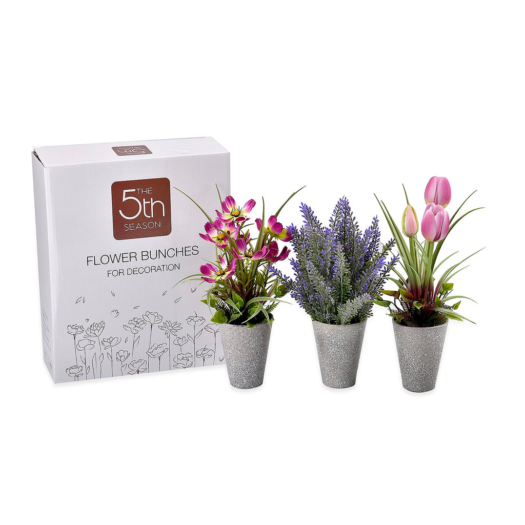 Set of 3 Potted Flower Plants - Carnation, White Rose and Orchids