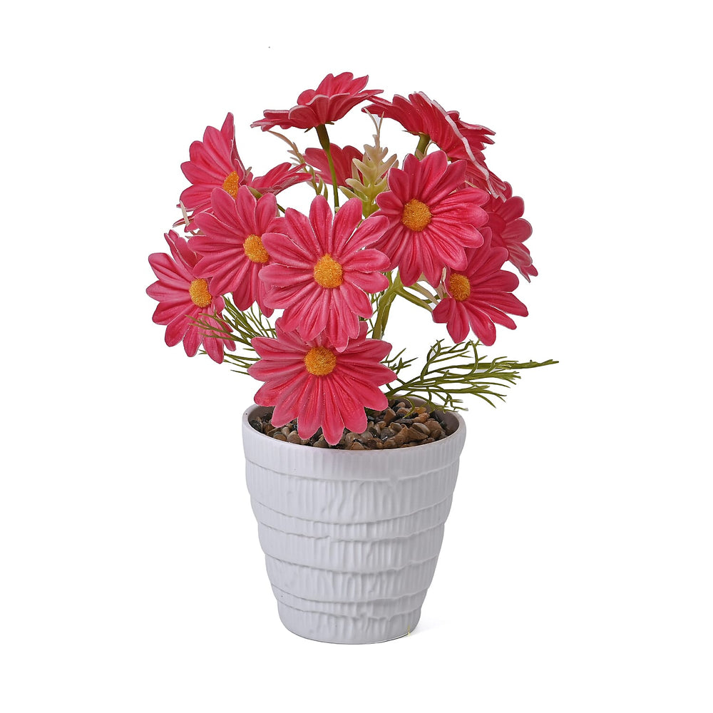 Set of 2- Artificial Fuchsia Daisy Flowers in Golden Pot - 7 Branches, 14 Flowers (Size 25x11cm)