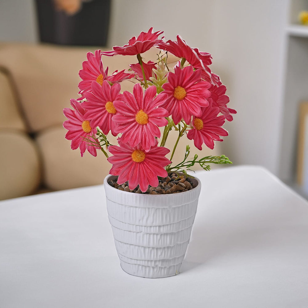 Set of 2- Artificial Fuchsia Daisy Flowers in Golden Pot - 7 Branches, 14 Flowers (Size 25x11cm)