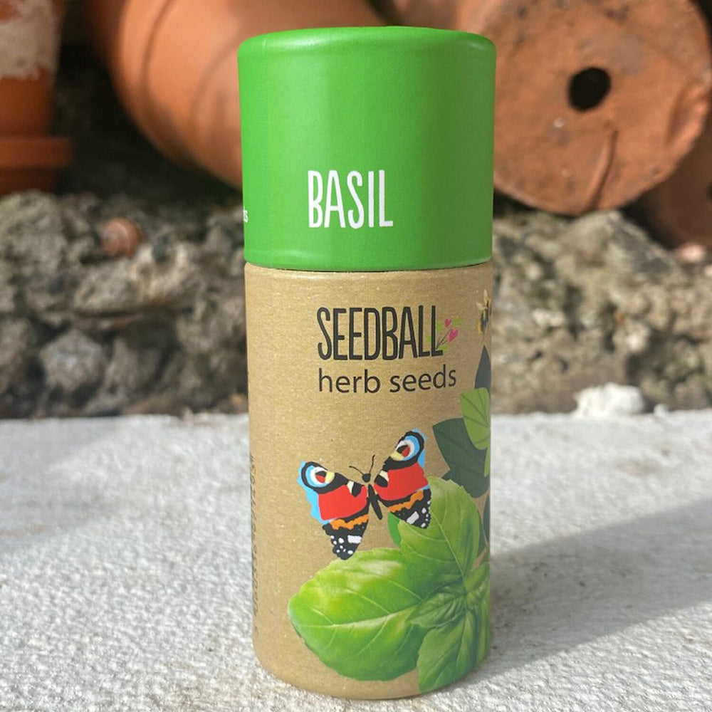 Basil Seed Ball Tube - Green