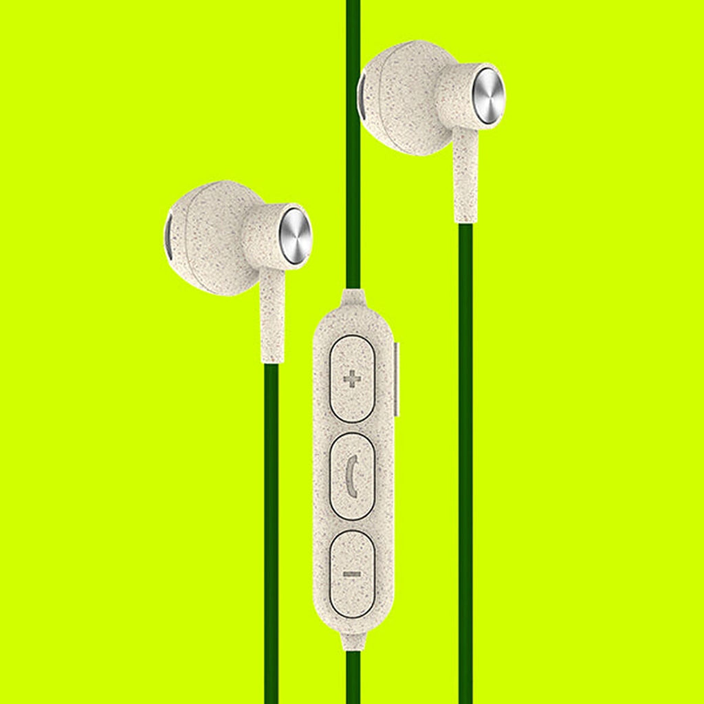 Bitmore Earbud and In-Ear Headphone - Black