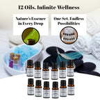Bliss - Beyond - Set of 12 Aromatic Essential Oils - 10 Ml Each