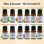 Bliss - Beyond - Set of 12 Aromatic Essential Oils - 10 Ml Each