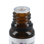 Bliss - Beyond - Set of 12 Aromatic Essential Oils - 10 Ml Each