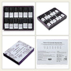 Bliss - Beyond - Set of 12 Aromatic Essential Oils - 10 Ml Each