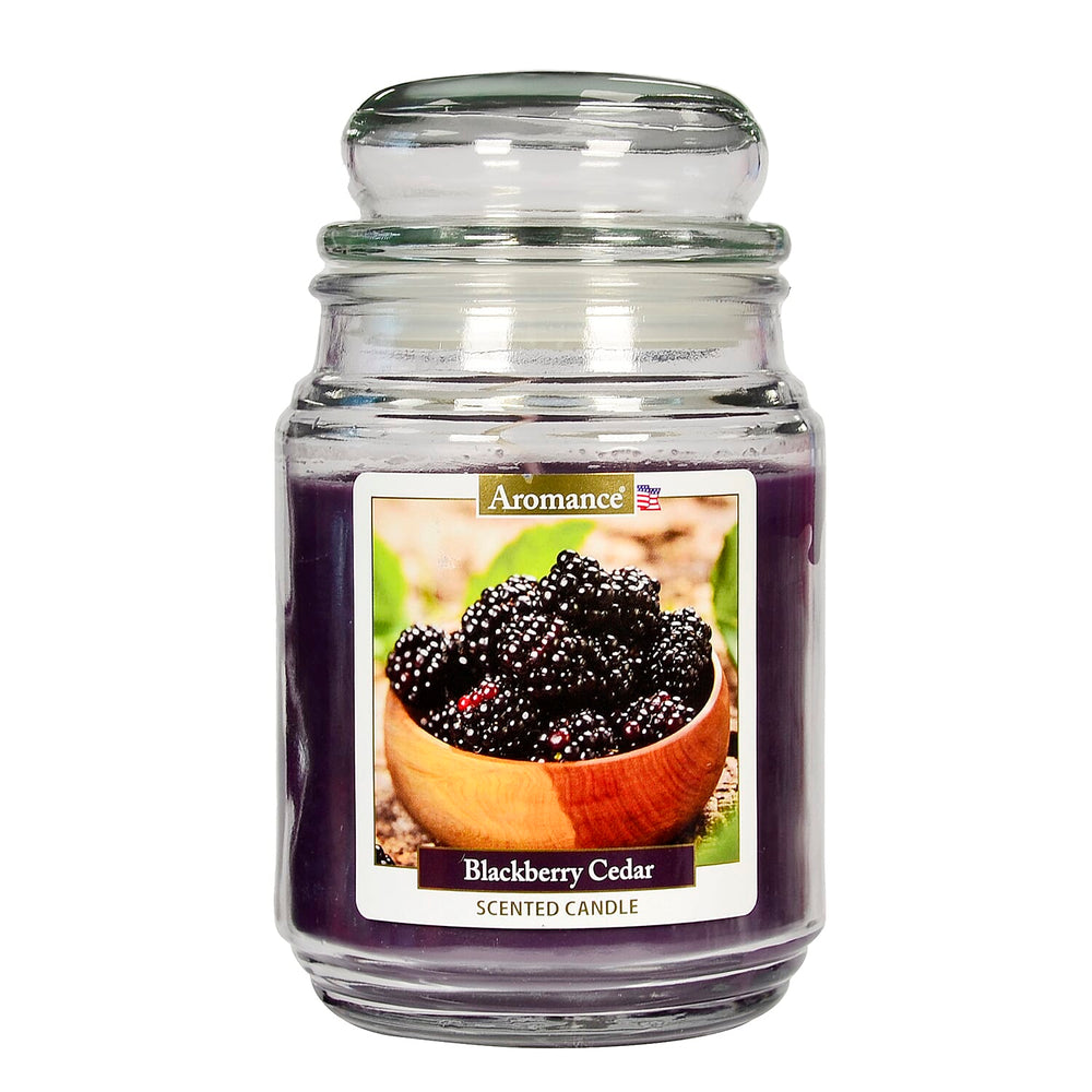 One Time Deal -Aromance Blackberry Cedar Scented Candle 18oz - Dark purple