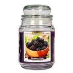 One Time Deal -Aromance Blackberry Cedar Scented Candle 18oz - Dark purple