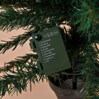 4 Piece Set- 2 LED Christmas Trees With Plant Pots (90CM), LED Wreath (60CM) and LED Garland (270CM)