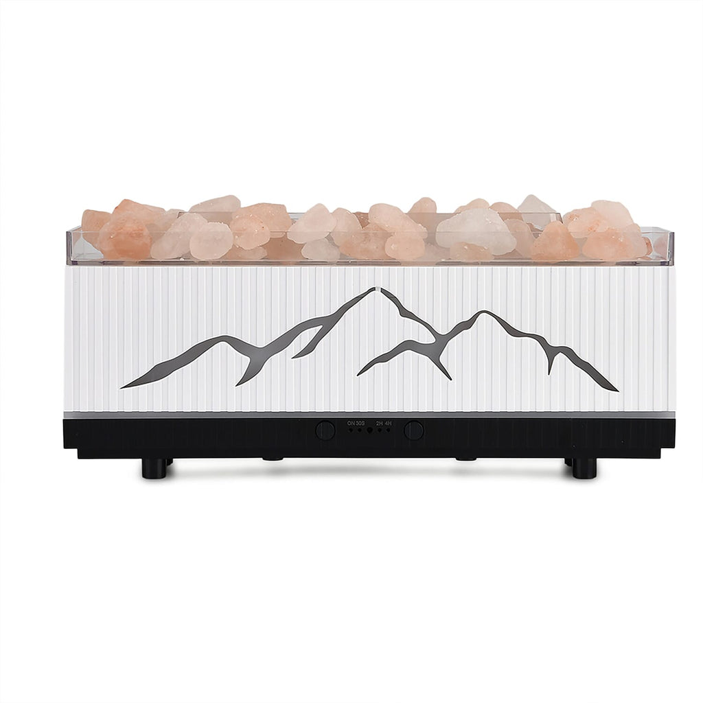 Bliss and Beyond Double Spray Diffuser with 10 Oils, Himalayan Salt Rocks - USB 5V Essential Oil Humidifier with Timer - 2-Colour LED Light - White