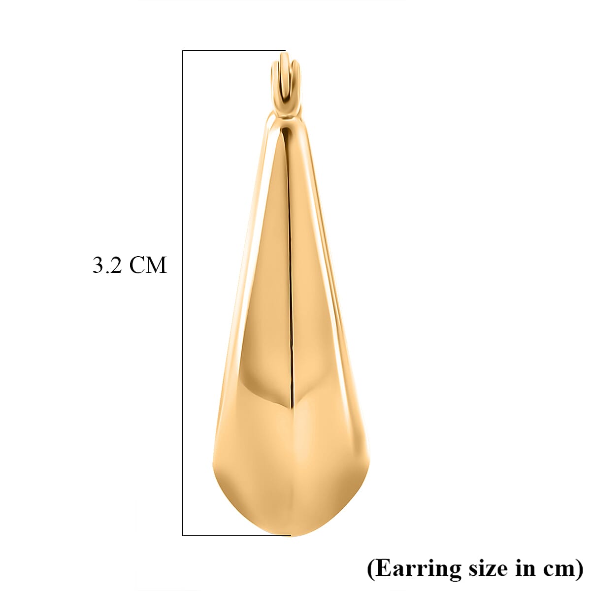 Designer Inspired - Large Hoop Earrings