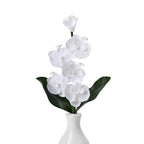 Fiber Optic LED Orchid Flower with Cloth Petals & Plastic Base - Light-Up Decorative Display (3xAA Battery, Not Incl.) - White