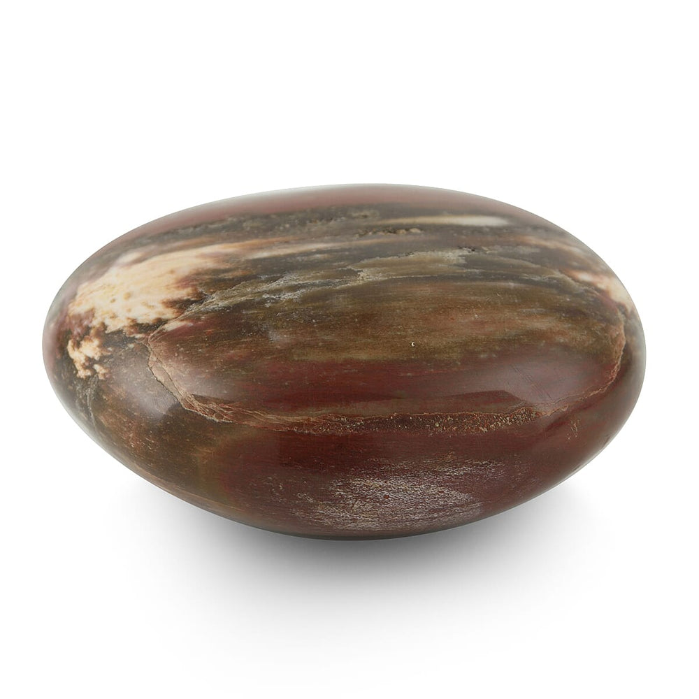 Galet Septarian-Small