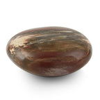 Galet Septarian-Small