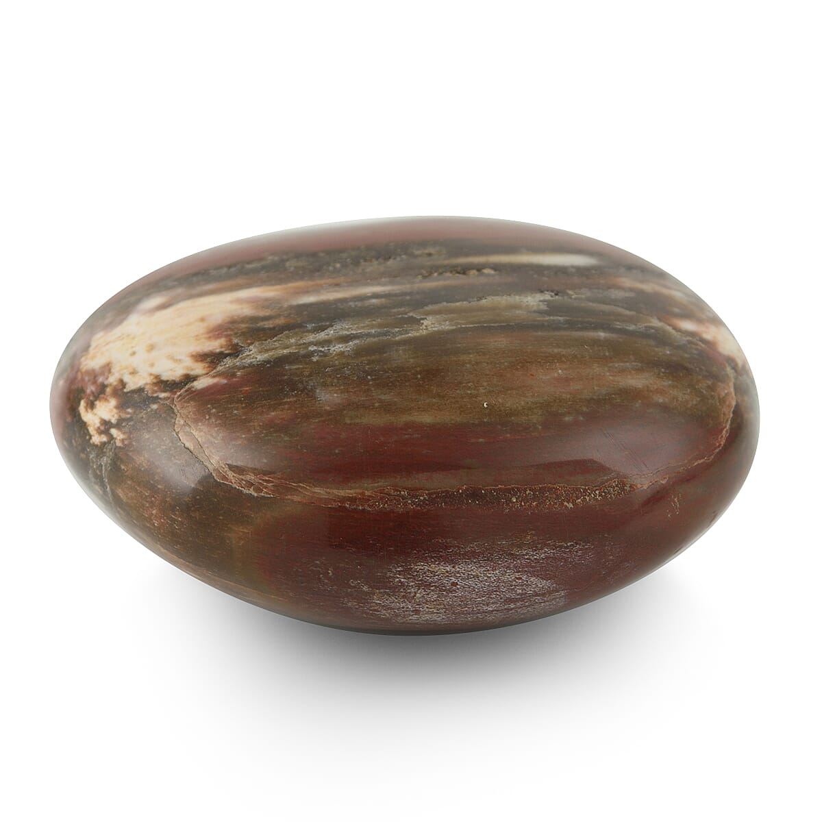 Galet Septarian-Small