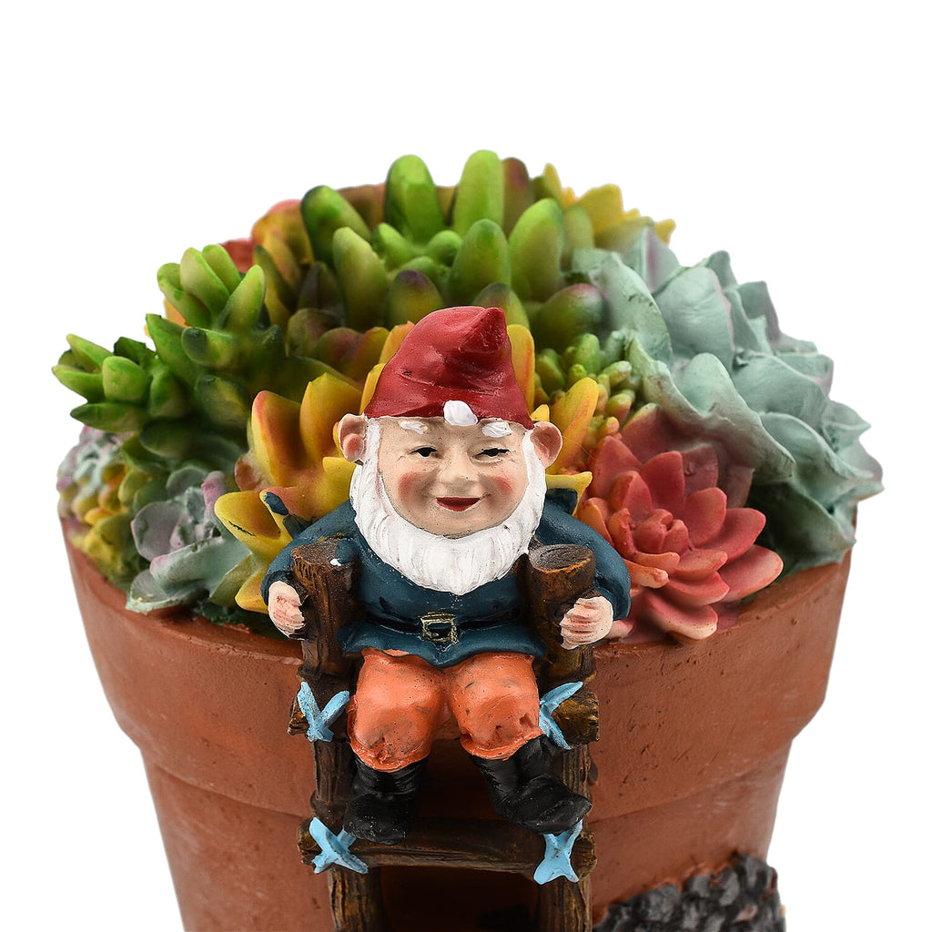 Garden Succulent Gnome House (Size 18x15x13 cm) - Multi