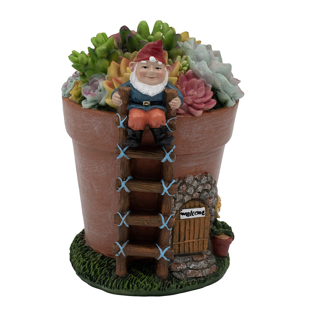 Garden Succulent Gnome House (Size 18x15x13 cm) - Multi