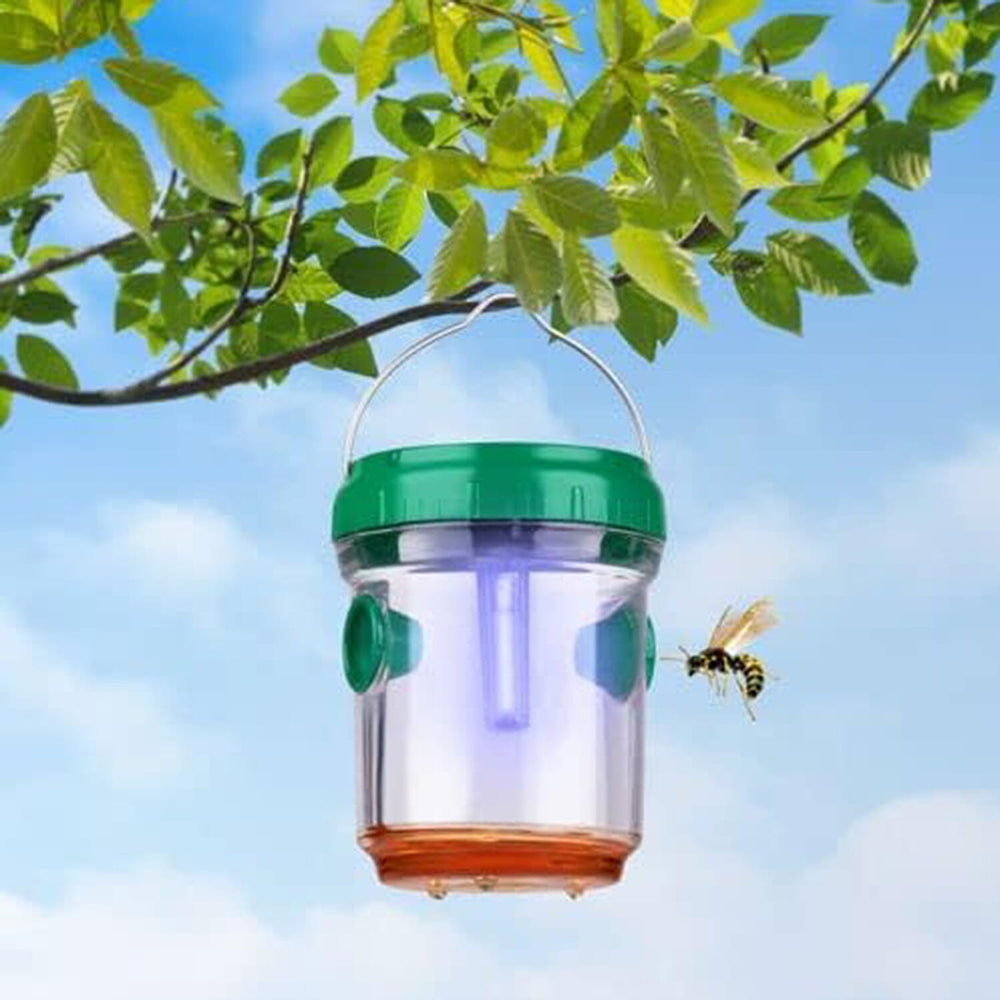 Garden wasp trap