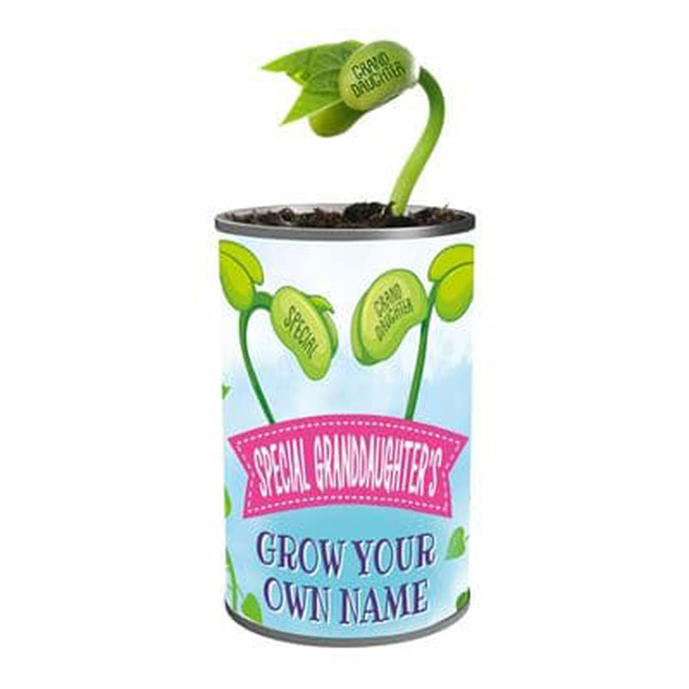 IW Special Live Plants - Mint Green & Green