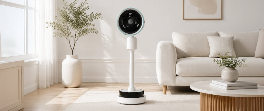 Bliss & Beyond Air Circulator Fan