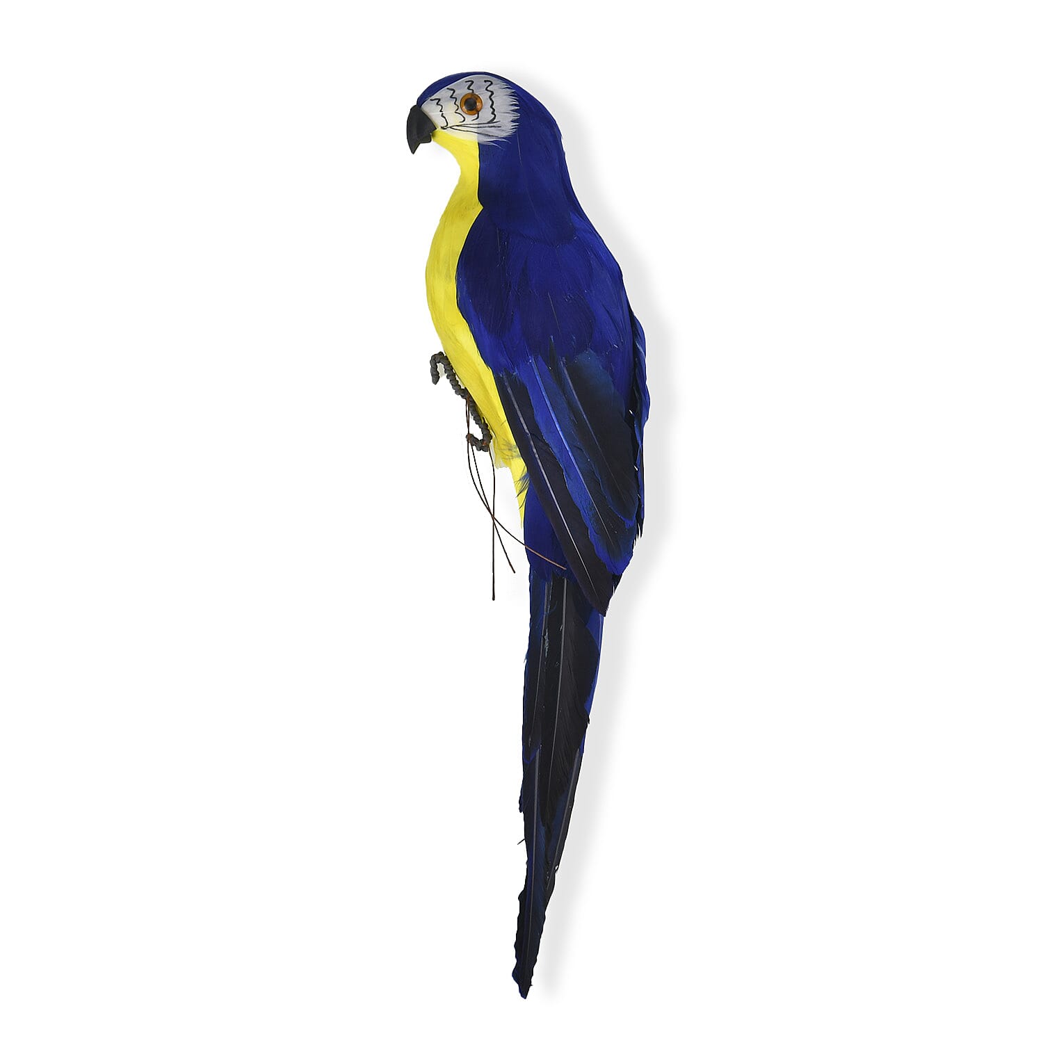 Realistic Parrot Figurine (Size 35cm) - Blue & Yellow