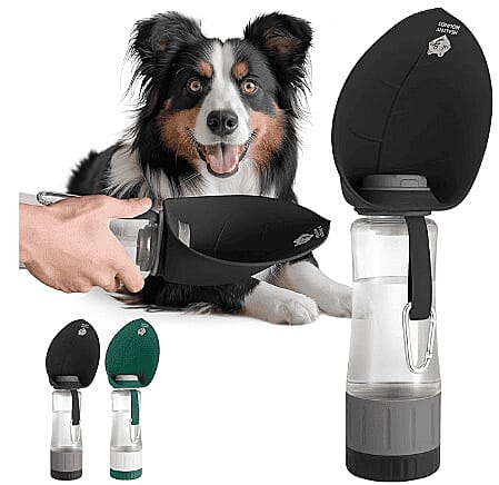 Healthy Hounds- Portable Dog Water Bottle for Travel (600ml) - Black