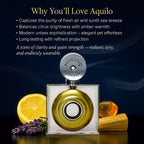 Horatio London Aquilo Unisex EDP - 75ml