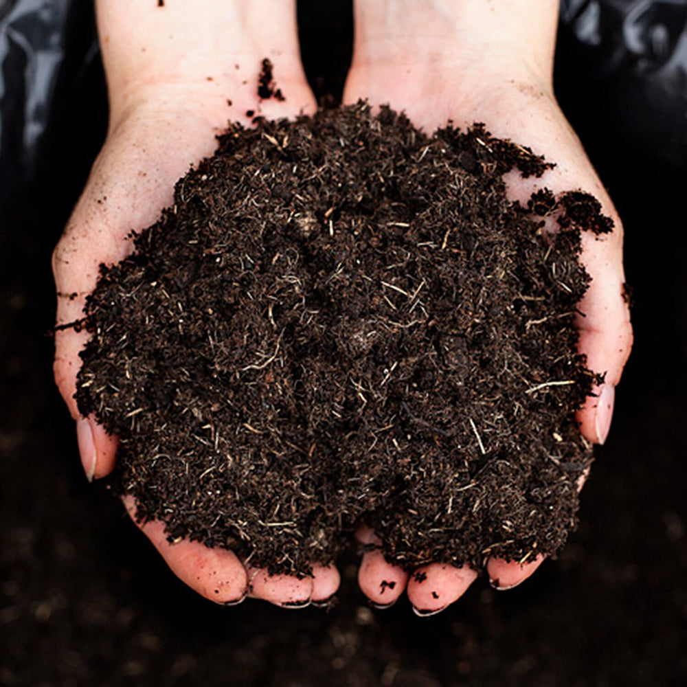 Your Ideal Professional Compost Live Plants x 70 Litre Bag