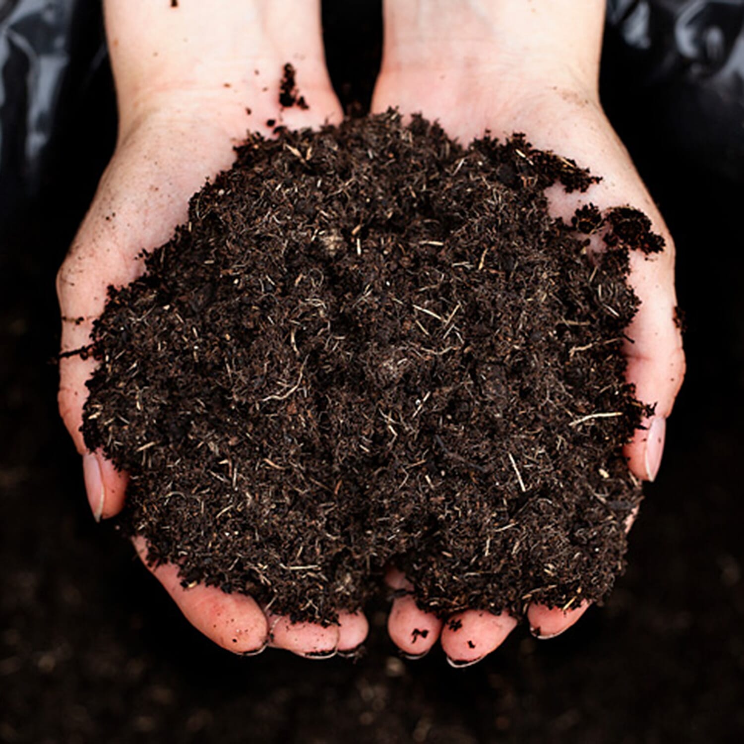 Your Ideal Professional Compost Live Plants x 70 Litre Bag