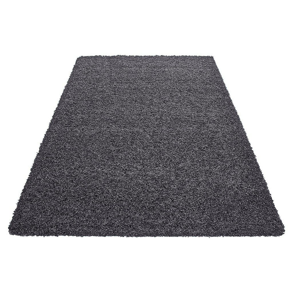 IW  Rug and Door Mat (Size 170x1 cm) - Dark Grey