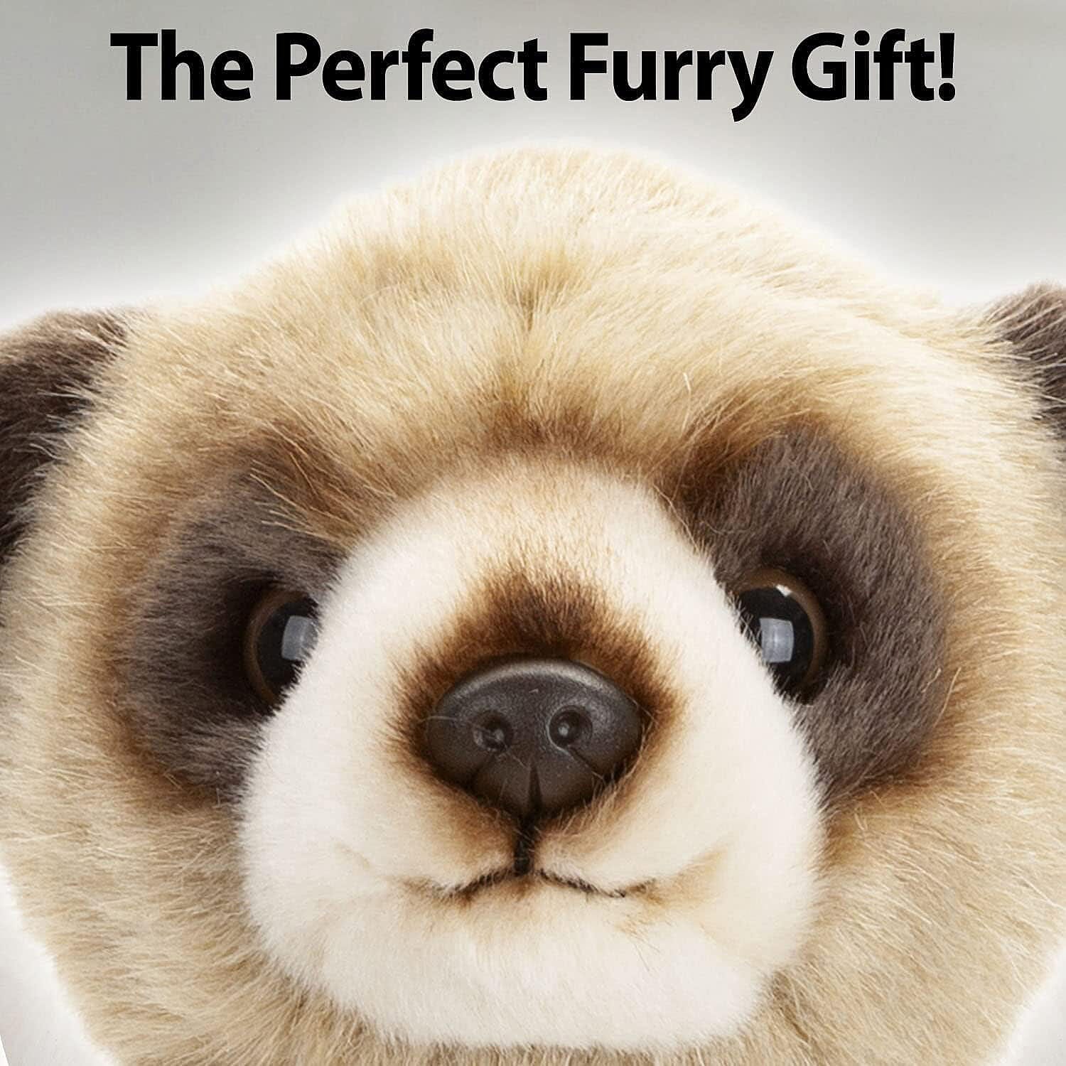 Premium Meerkat Plush Soft Toy (30Cm) - Cream
