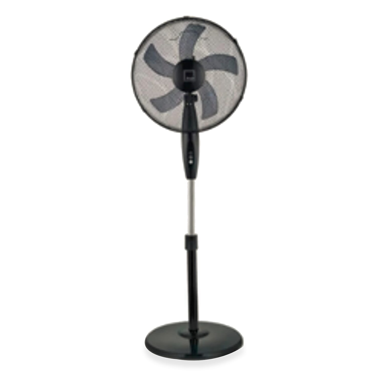 KNIGHT 16 Inch Stand Fan with 3 Adjustable Speeds and Heavy Round Base ...
