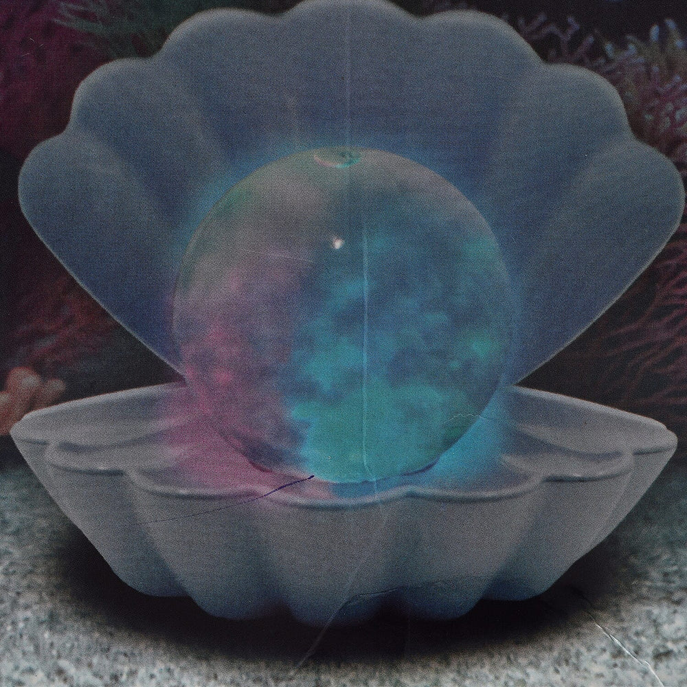Sea Shell LED Colour Changing Glitter Mood Lamp with USB or Battery Powered