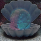 Sea Shell LED Colour Changing Glitter Mood Lamp with USB or Battery Powered