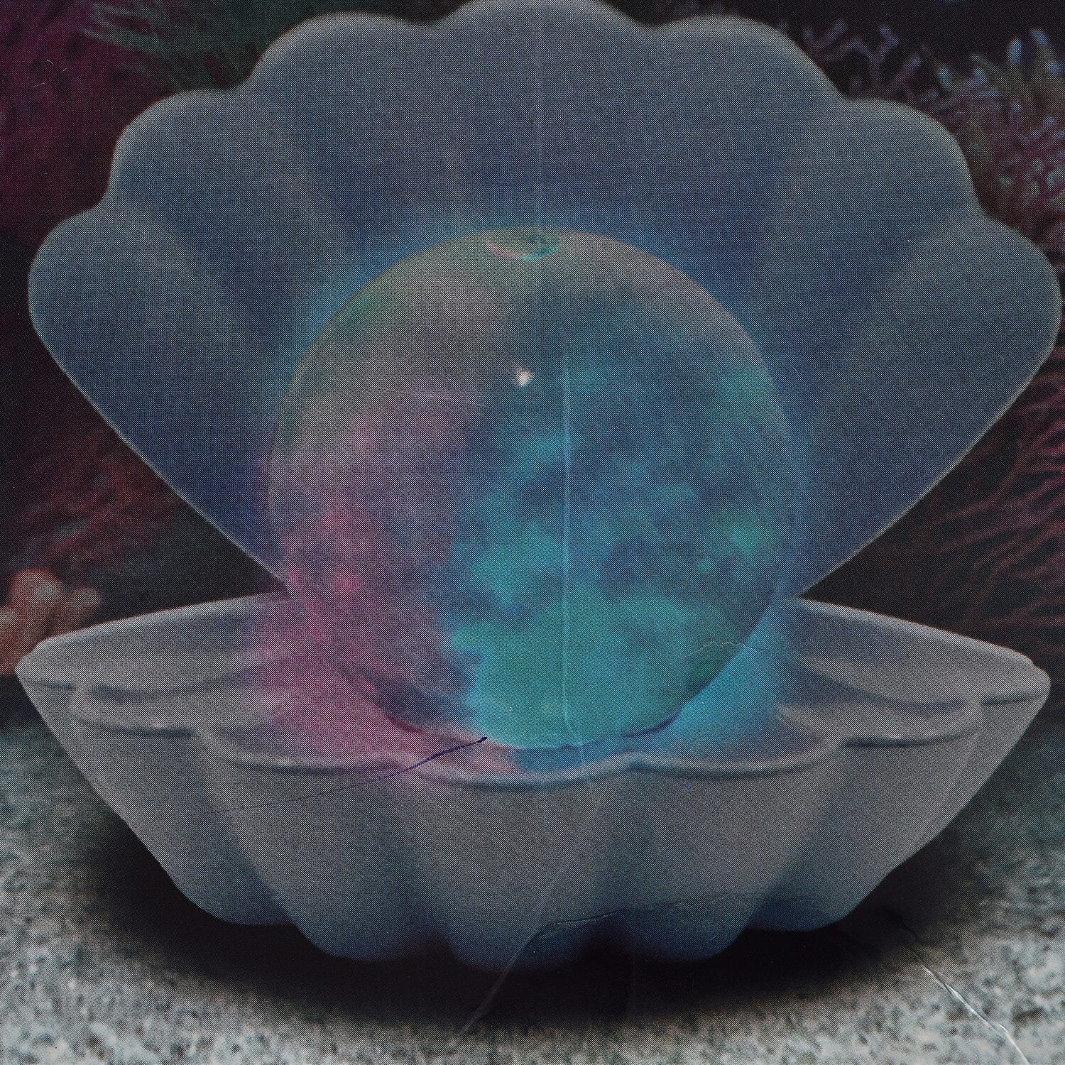 Sea Shell LED Colour Changing Glitter Mood Lamp with USB or Battery Powered