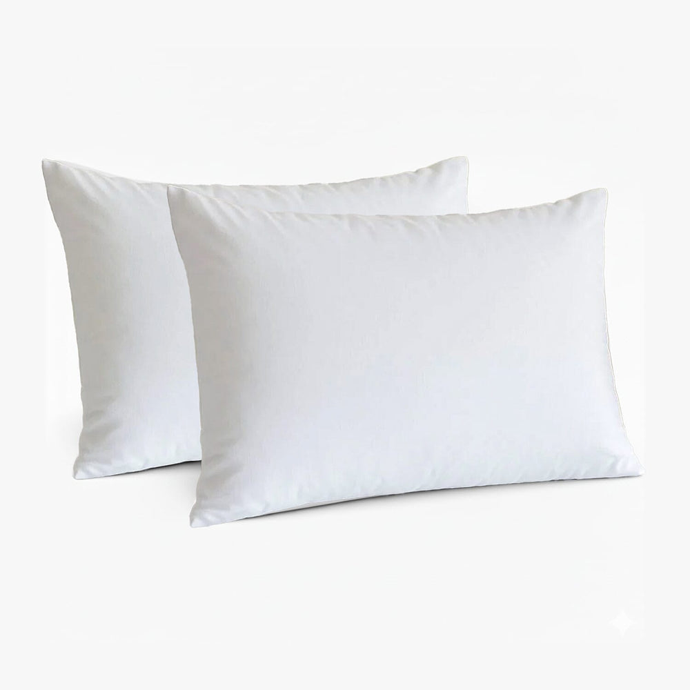 LIQUIDATION DEAL - Luxury Edition Set of 2 Goose Feather & Down Pillow