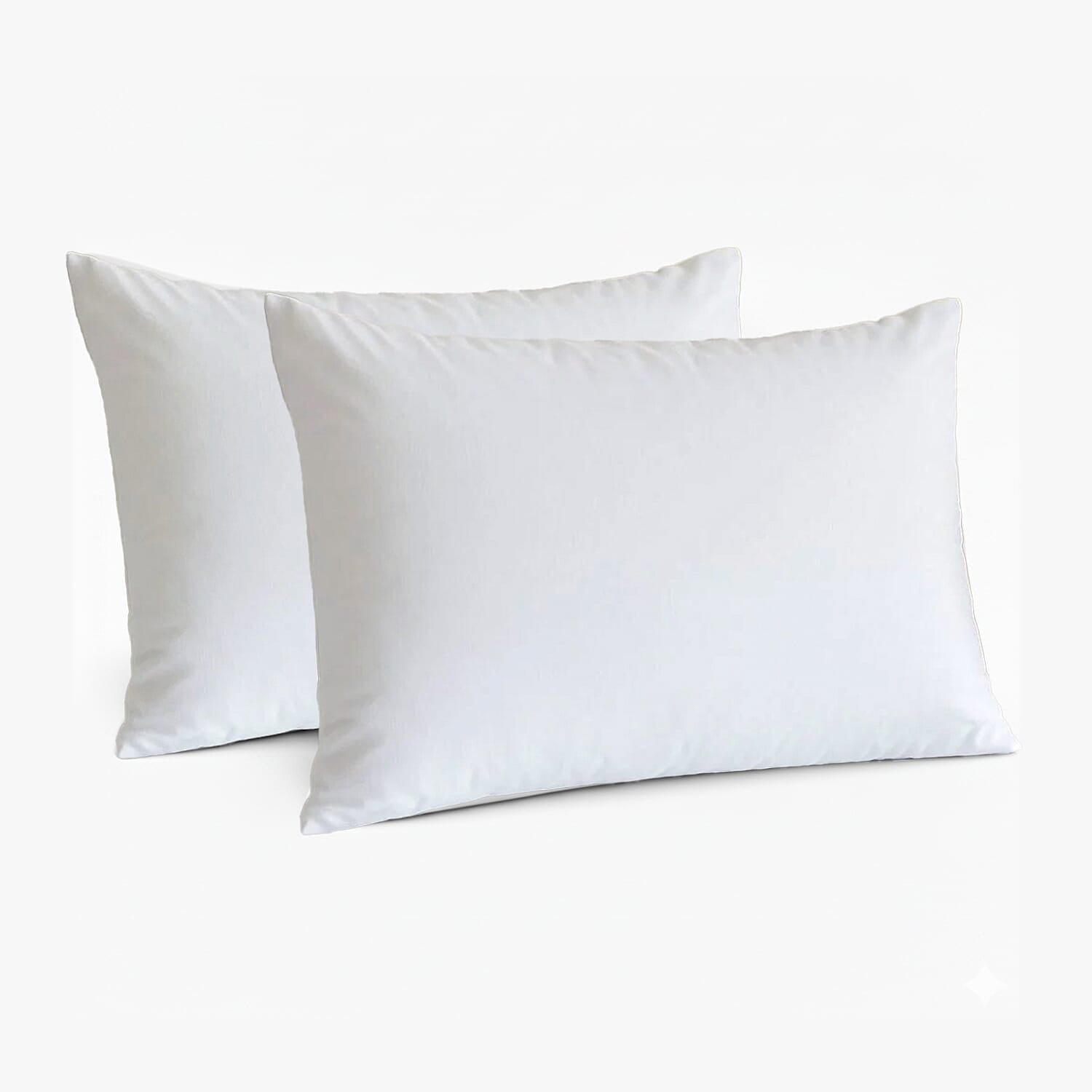 LIQUIDATION DEAL - Luxury Edition Set of 2 Goose Feather & Down Pillow