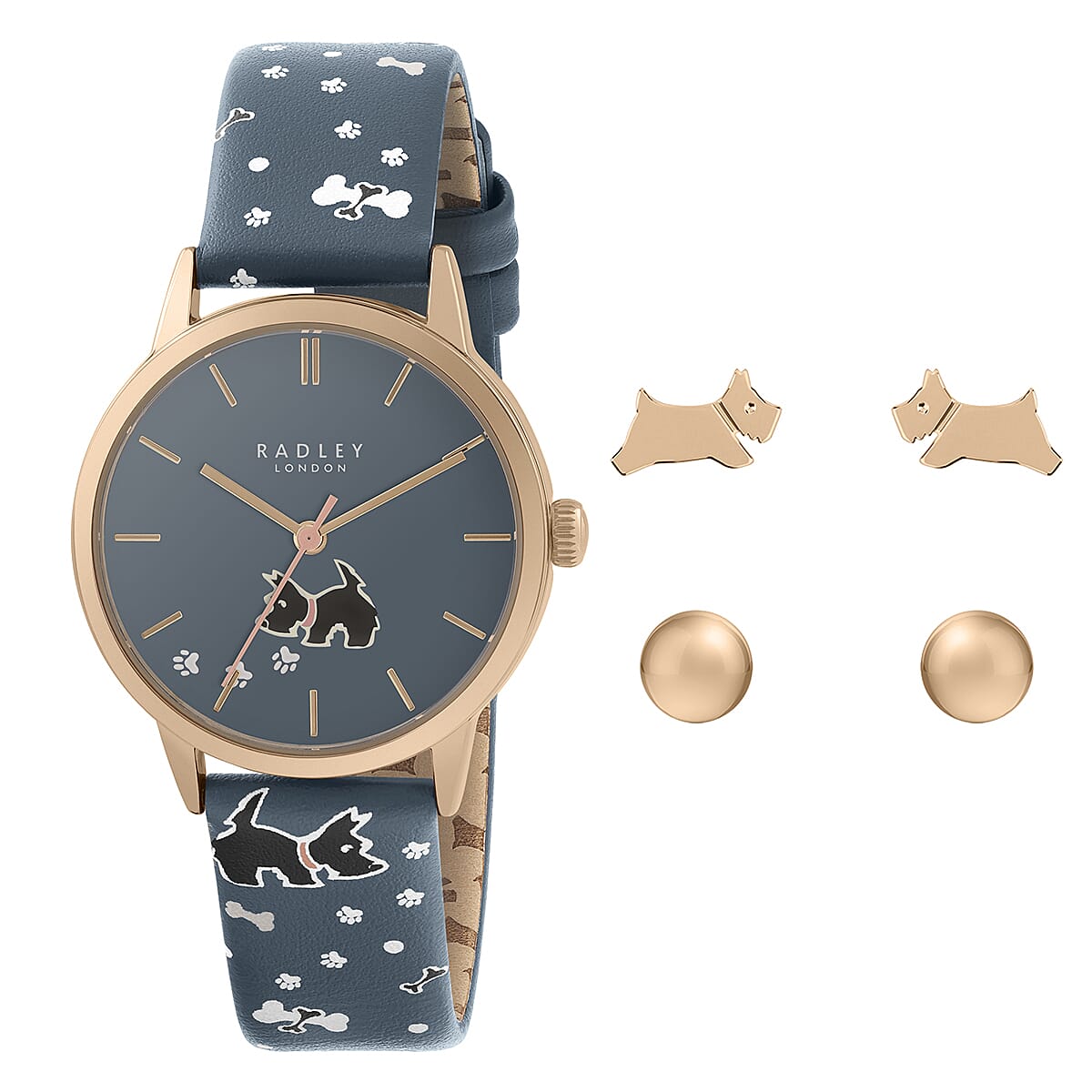 Ladies Radley Watch-Leather Strap with Scottie Dog and Round Earring Studs With Push Back - Wate Resistant - Blue