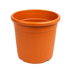 Blueberry Berrybux Planters x3 & Compost 60L