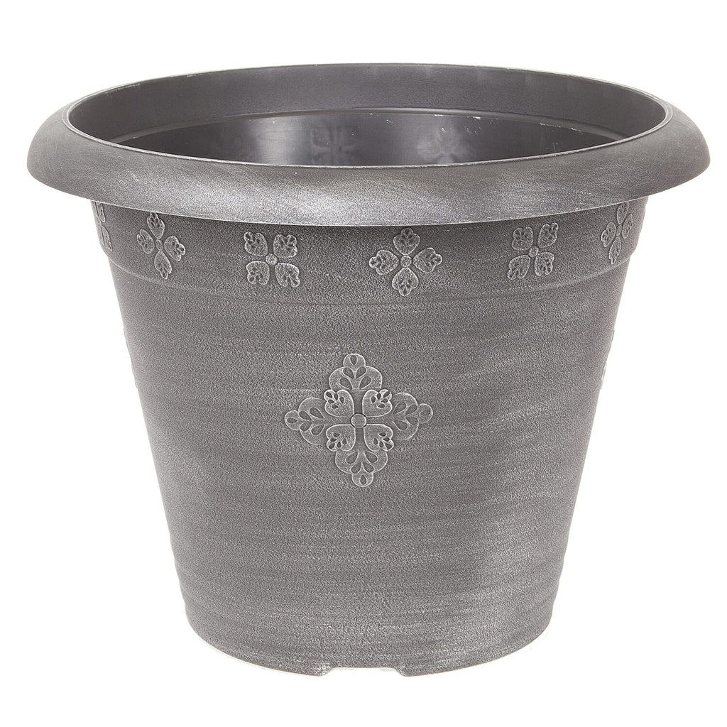 Eucalyptus Gunnii Azura & Medley Planter