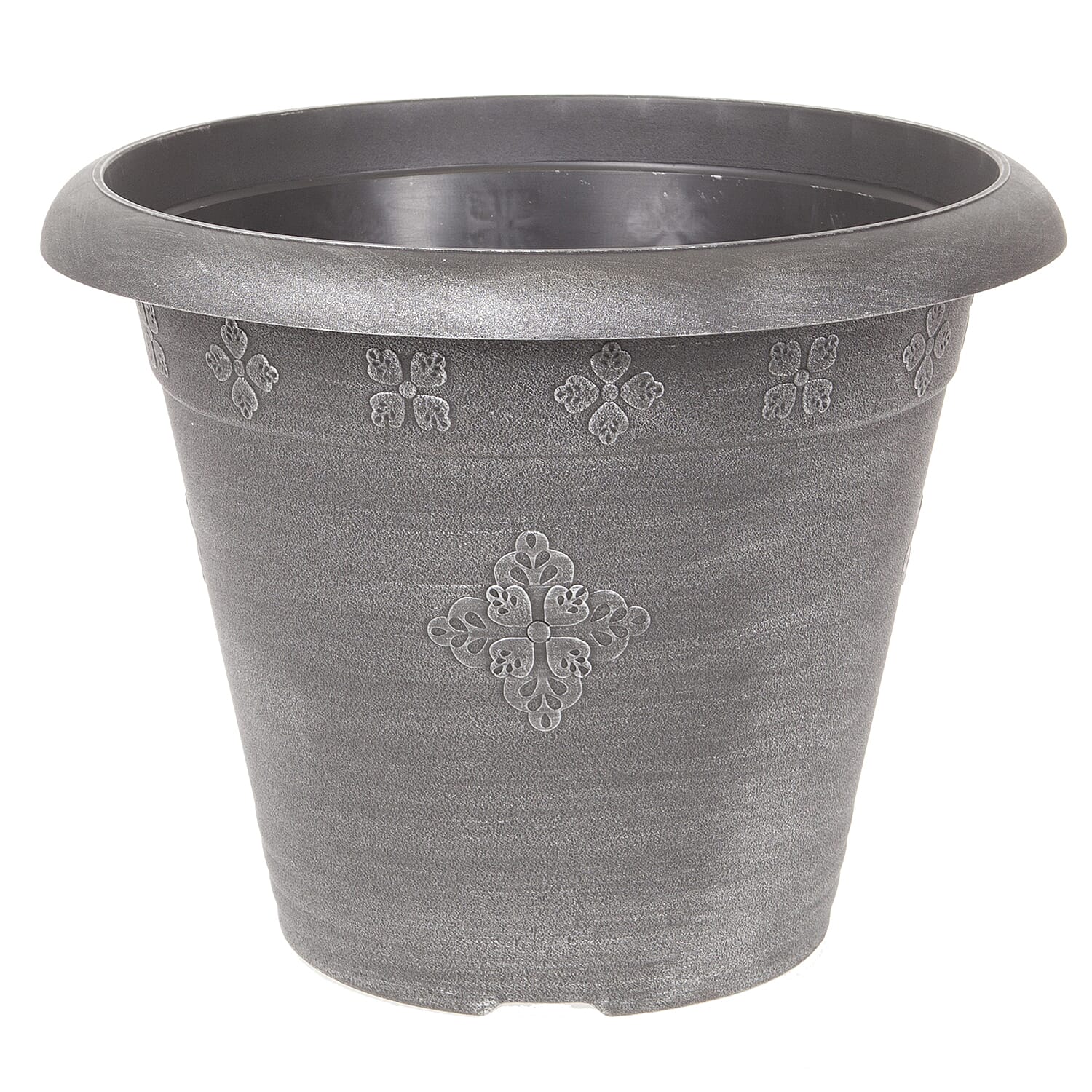 Eucalyptus Gunnii Azura & Medley Planter