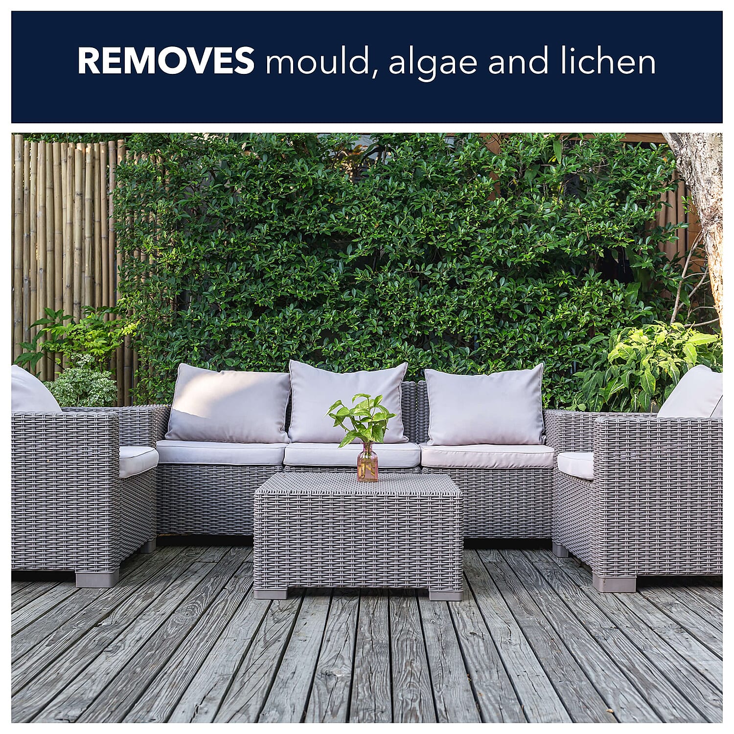 Millwood Path - Patio Mould - Algie Remover 5 Litres