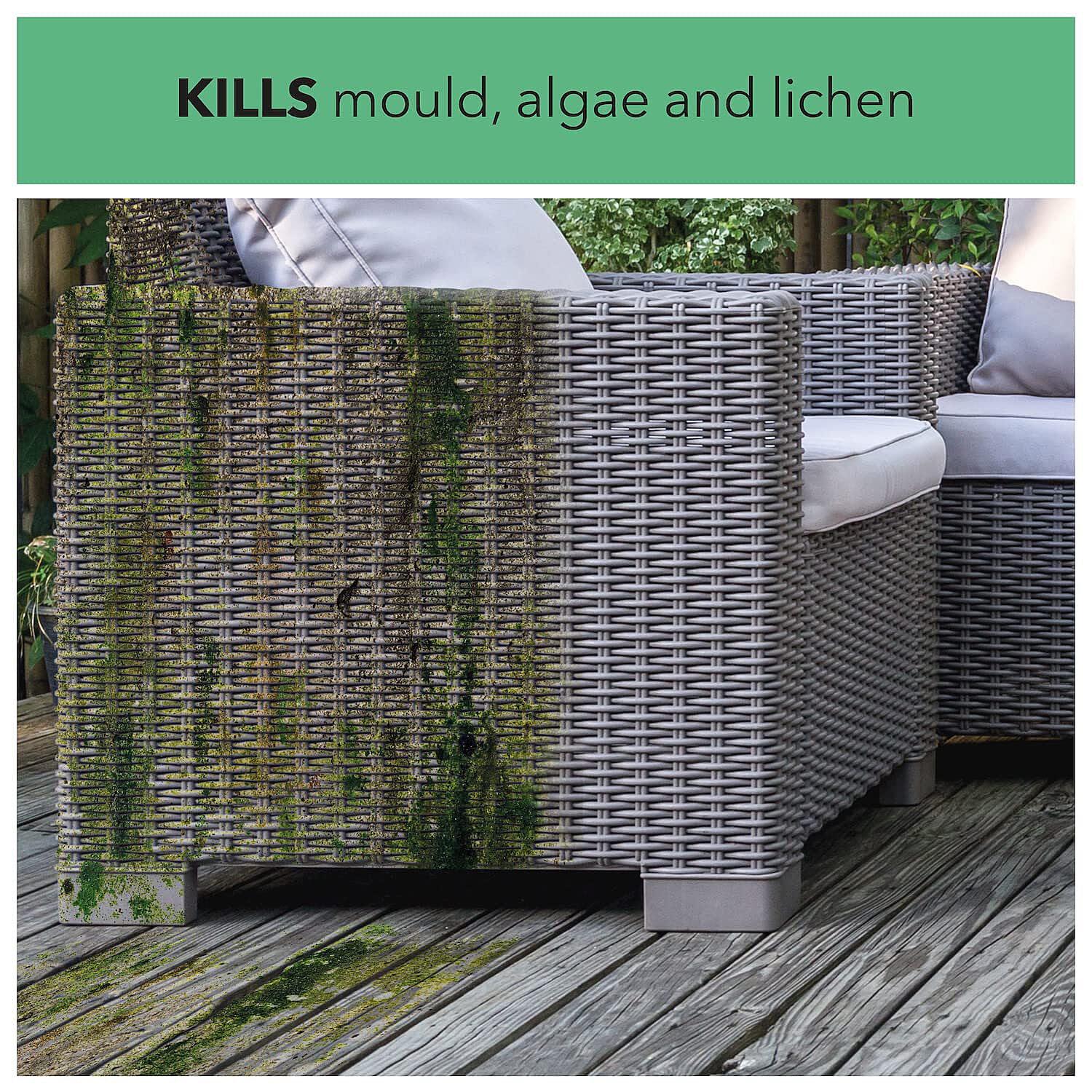 Millwood Path - Patio Mould - Algie Remover 5 Litres