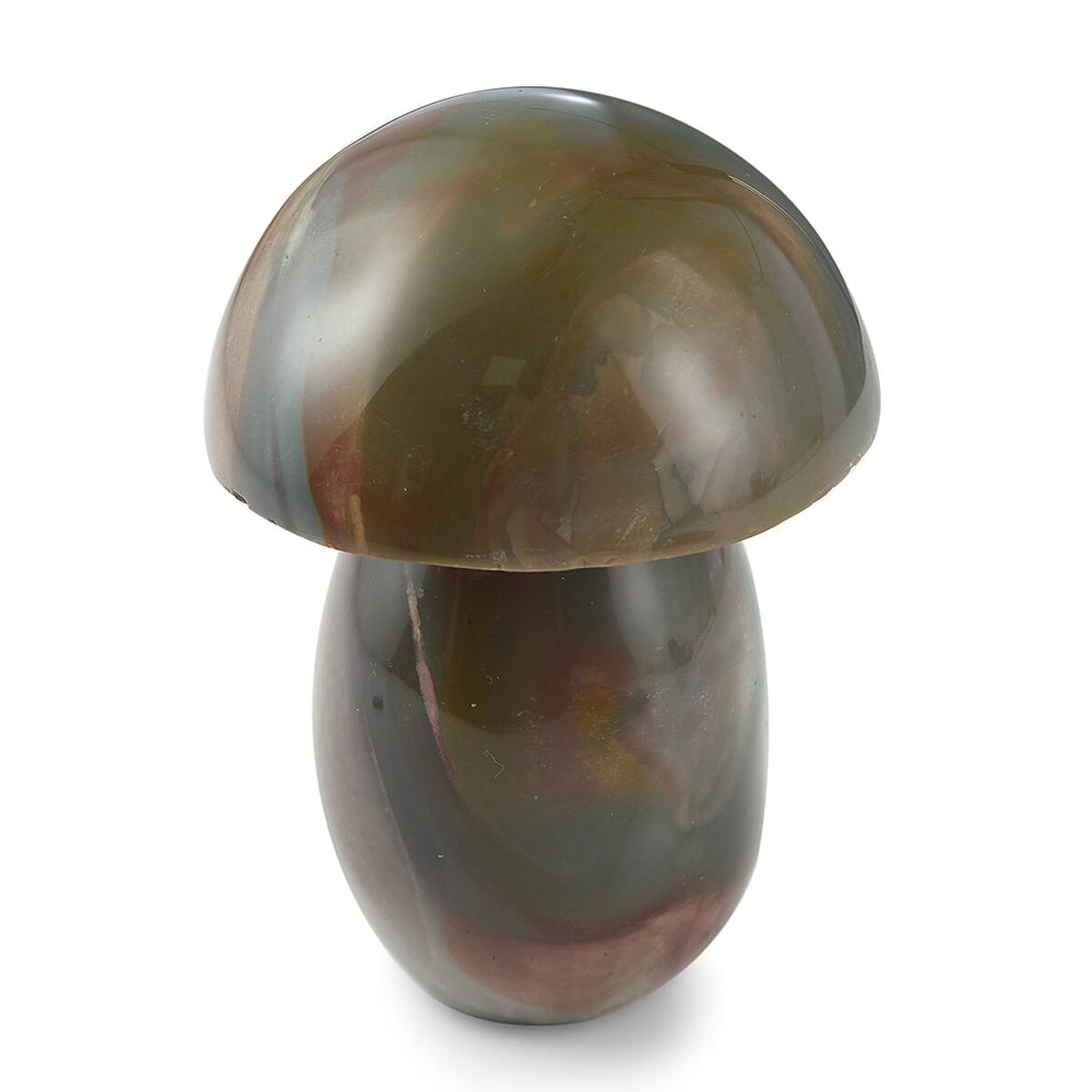 Mushroom Jasper-Large