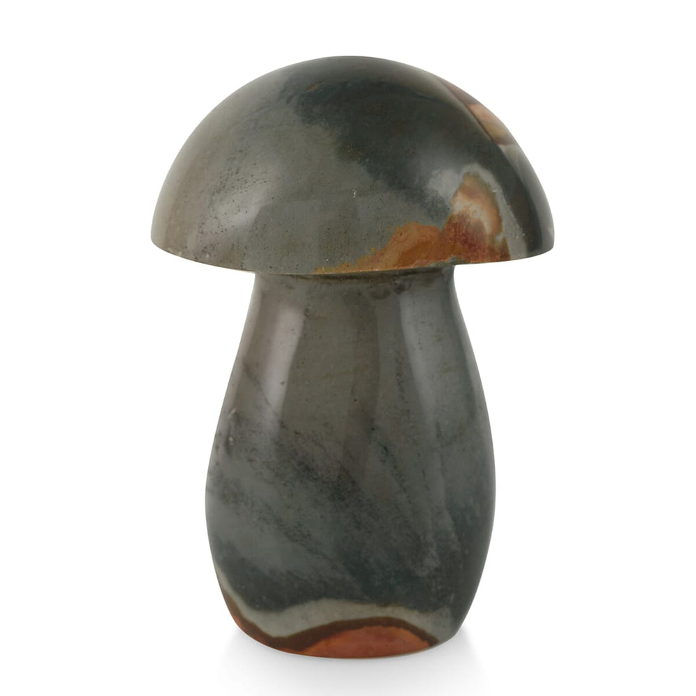 Mushroom Jasper-Small