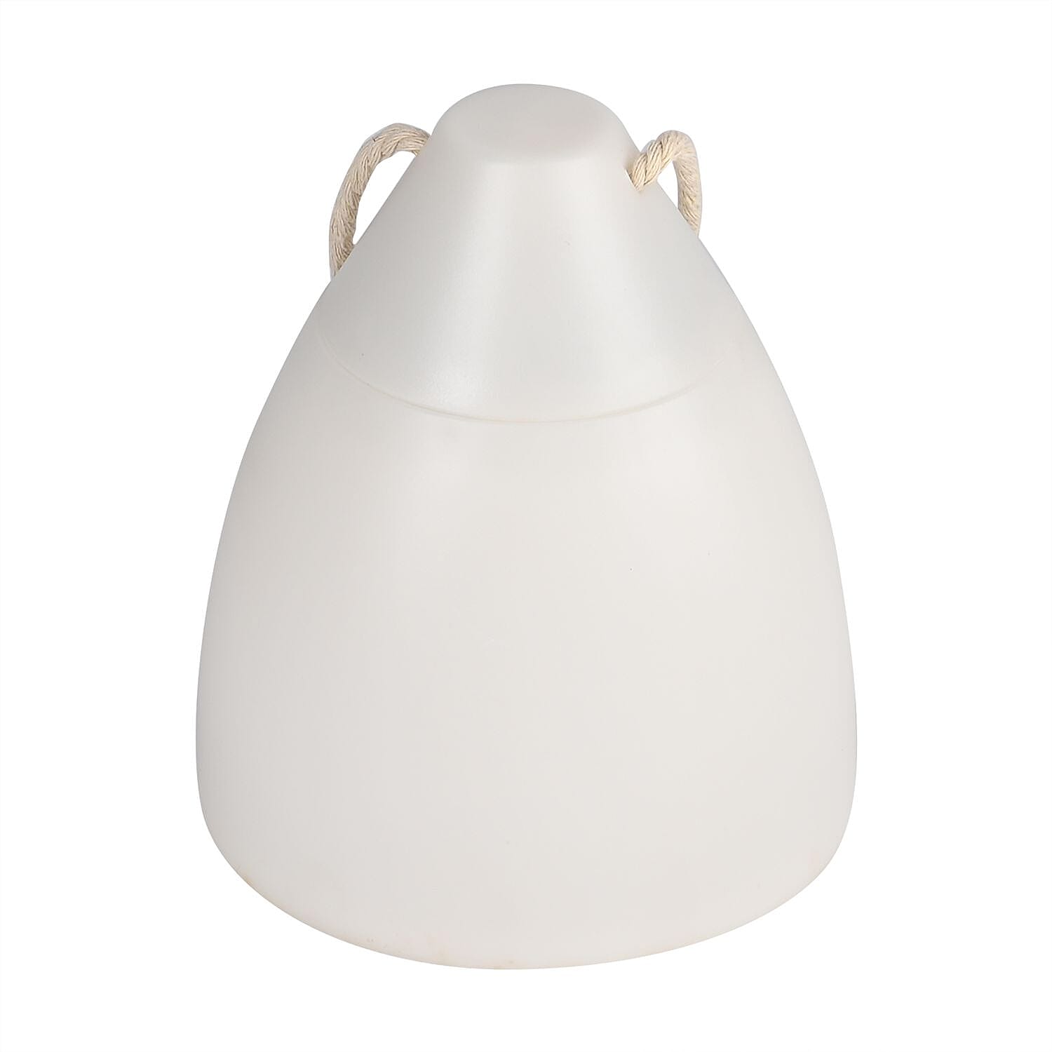 Ambient Hanging Flame Light with 39 Energy Efficient LEDs - 5 Color Light Modes - White