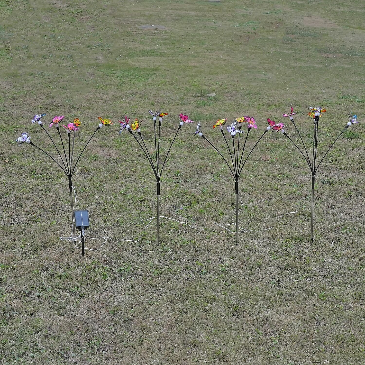 Lowest Price Offer - Set of 4 Solar Butterfly Lights- 6 Warm LEDs, 8 Lighting Modes & 500mah Battery Incl. (70cm) - Black