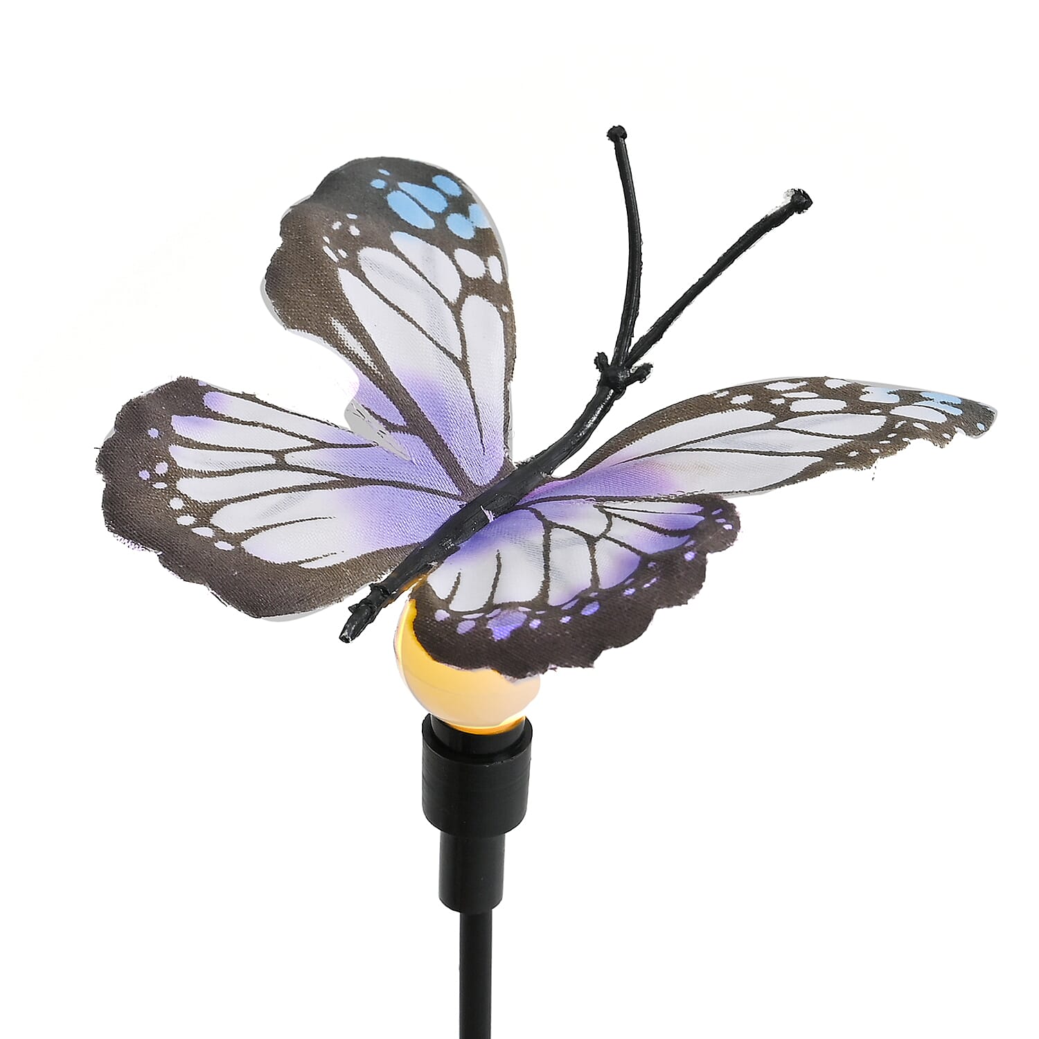 Lowest Price Offer - Set of 4 Solar Butterfly Lights- 6 Warm LEDs, 8 Lighting Modes & 500mah Battery Incl. (70cm) - Black