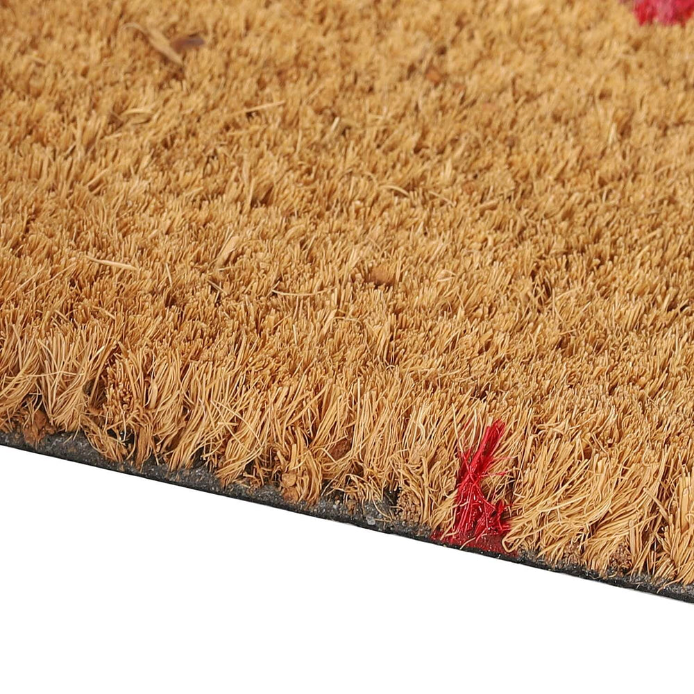 PVC Backed Coir Welcome Rug and Door Mat (Size 60x40 cm) - Multi
